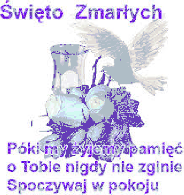 Biały gołąb z różami wszystkich Świętych
